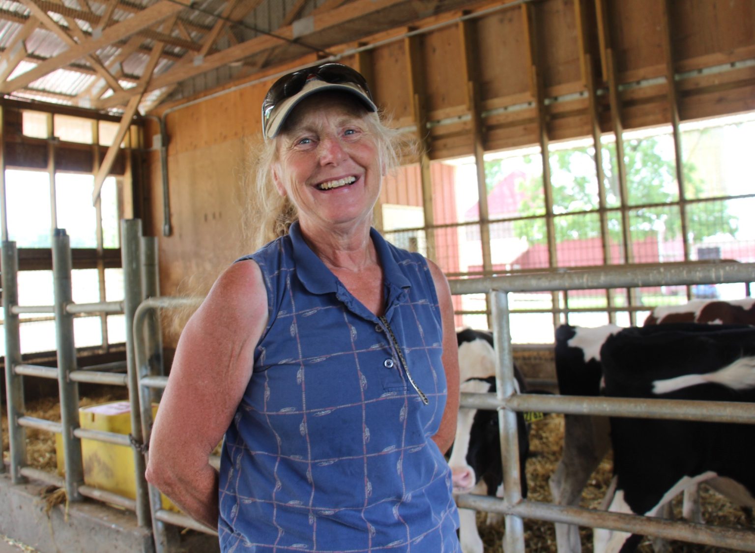 Berks County Dairy Producer Shares Tips for Calf Care and Maintaining ...