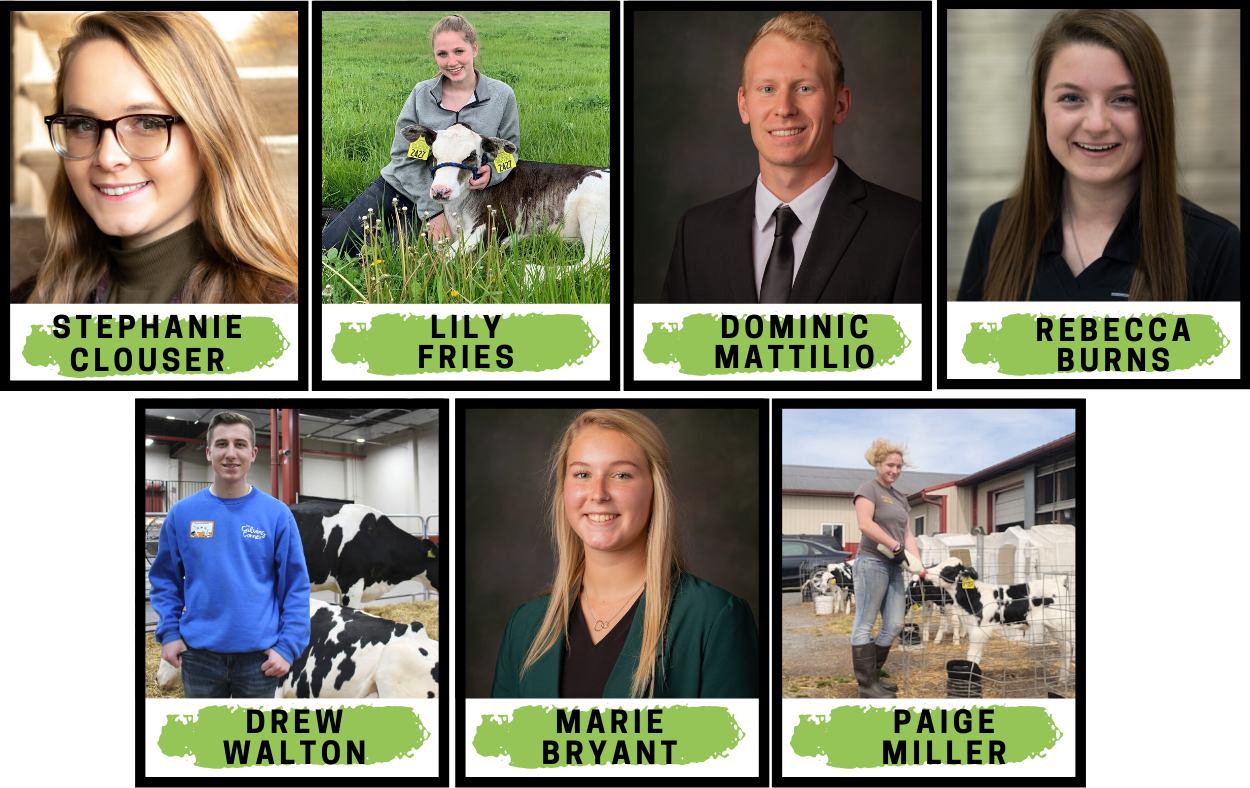 Seven Students Begin OnFarm Internships and Gain Exposure to Dairy
